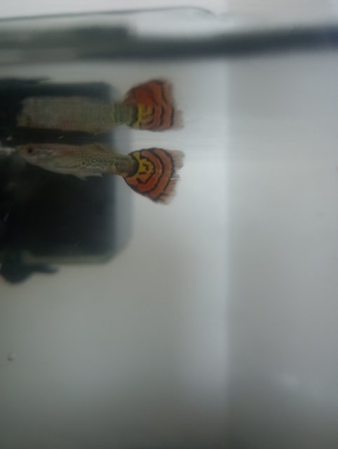 IMG_20230525_161555214.jpg