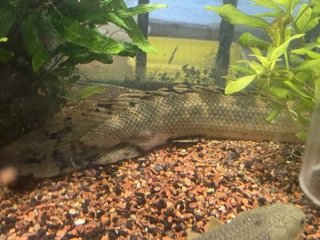IMG_3852 Small.jpeg