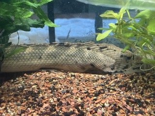 IMG_3854 Small.jpeg