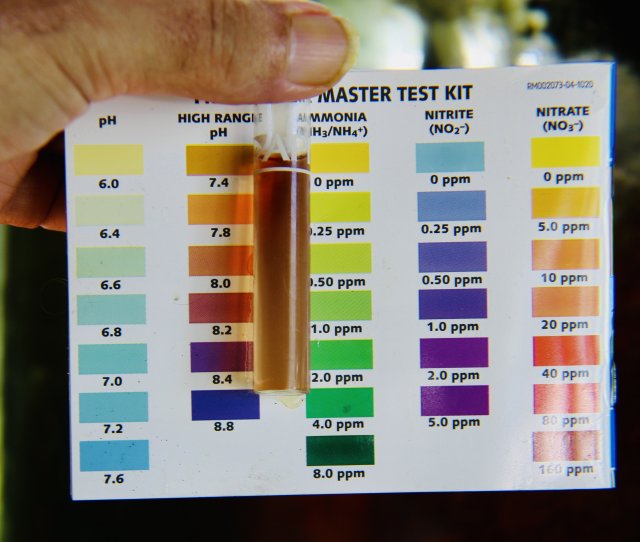 IMG_2465.jpeg IMG_2465.jpeg