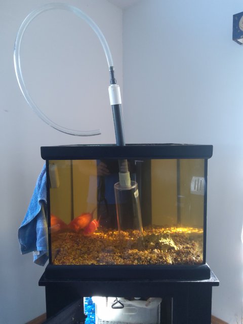 20230527_173003.jpg 20230527_173003.jpg