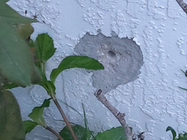 20230527_195318.jpg 20230527_195318.jpg