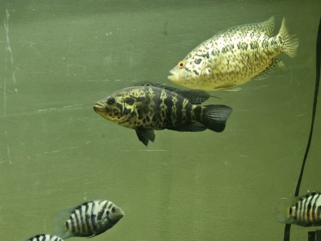 20230506_091830.jpg