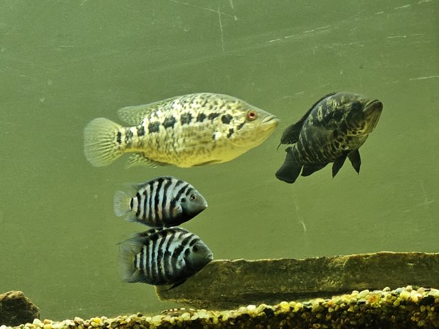 20230506_091756.jpg