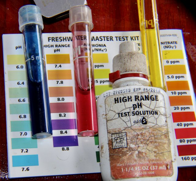 IMG_0232.jpeg IMG_0232.jpeg