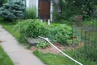 1685374680036.png 1685374680036.png