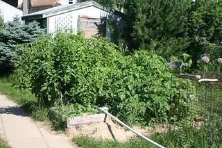 1685375004369.png 1685375004369.png