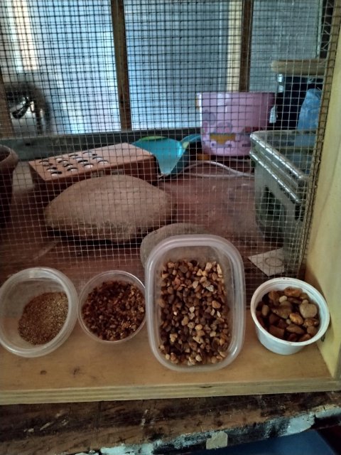 Sifted gravel sizes.jpg Sifted gravel sizes.jpg