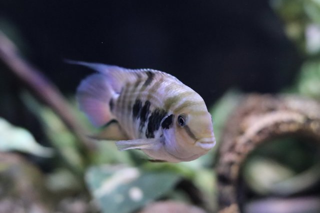 IMG_1419.jpeg IMG_1419.jpeg