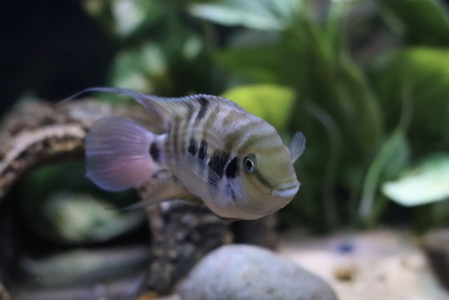 IMG_1422.jpeg IMG_1422.jpeg