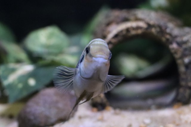 IMG_1421.jpeg IMG_1421.jpeg