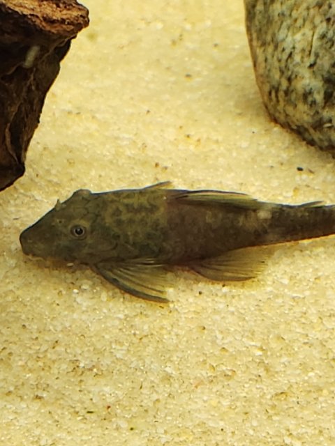 20230602_195656.jpg