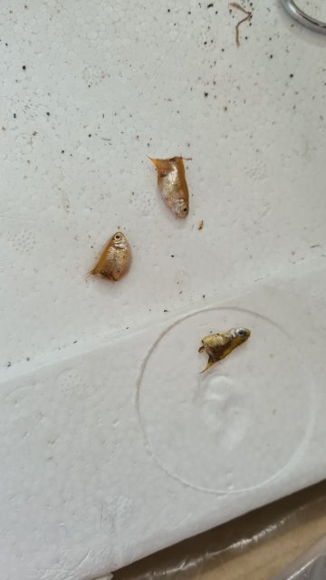 20230603_101542.jpg 20230603_101542.jpg