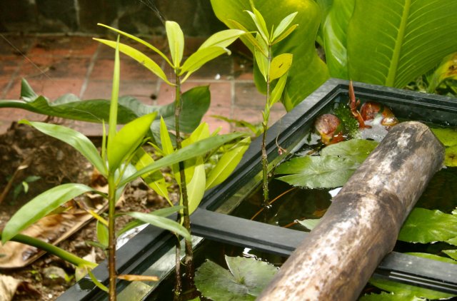 IMG_5893.jpeg IMG_5893.jpeg