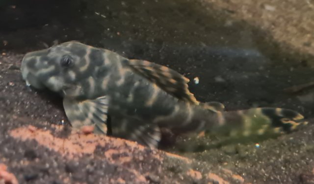 20230401_164227.jpg 20230401_164227.jpg