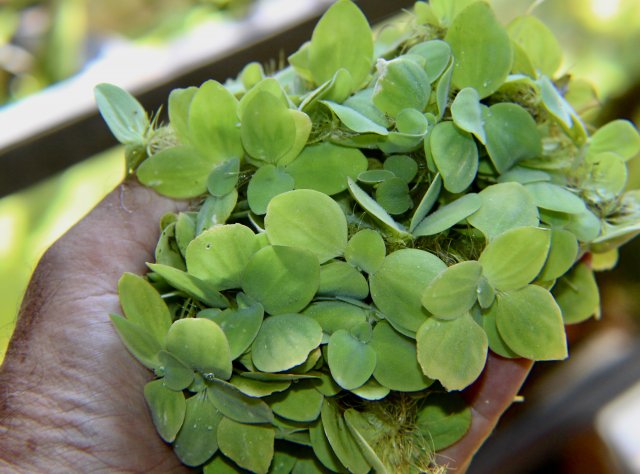 IMG_1522.jpeg IMG_1522.jpeg