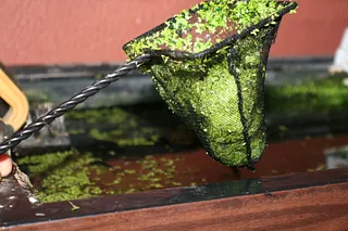 1685961940161.png 1685961940161.png