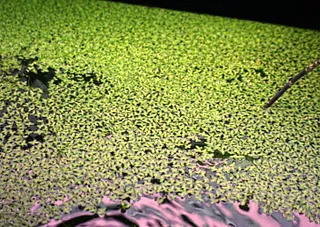 1685962013050.png 1685962013050.png