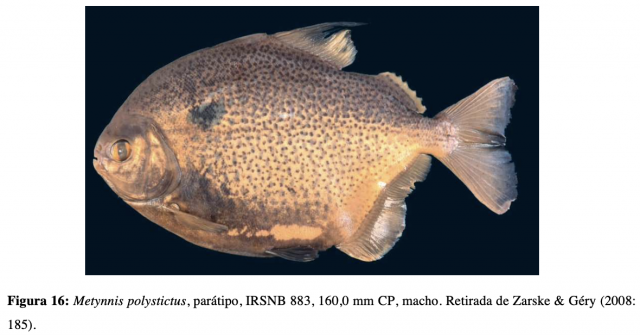 Screenshot 2023-06-05 at 12.45.03 PM.png