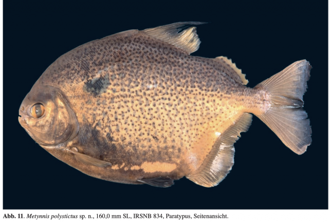 Screenshot 2023-06-05 at 12.57.01 PM.png