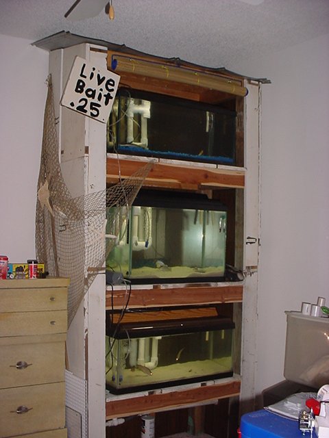 DSC00005.JPG.jpg