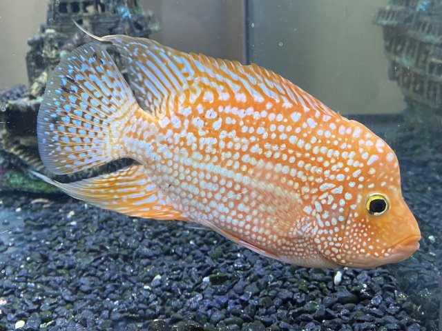 IMG_9024.jpeg IMG_9024.jpeg