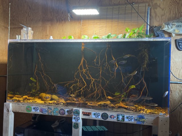 IMG_0358.jpeg IMG_0358.jpeg