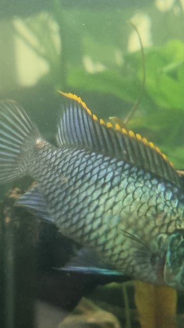 20230612_170325.jpg