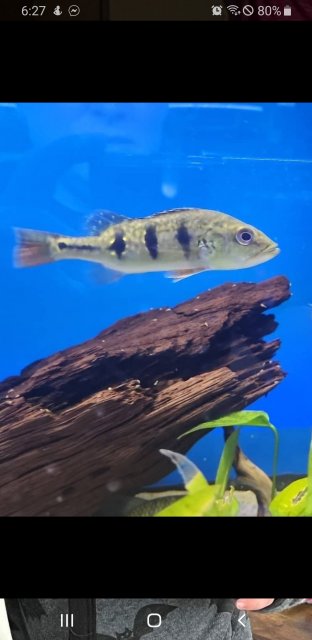 Screenshot_20230612-182754_One UI Home.jpg