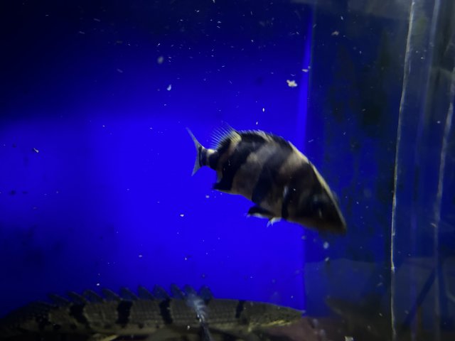 IMG_4782.jpeg IMG_4782.jpeg