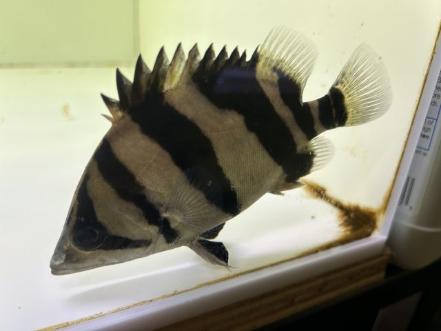 IMG_4774.jpeg IMG_4774.jpeg