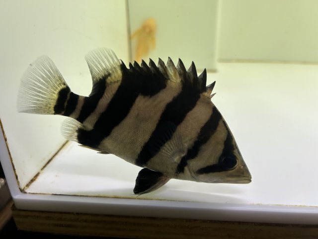 IMG_4776.jpeg IMG_4776.jpeg