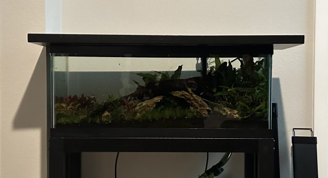 IMG_0673.jpeg IMG_0673.jpeg