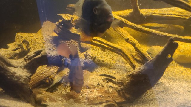 20230619_182632.jpg