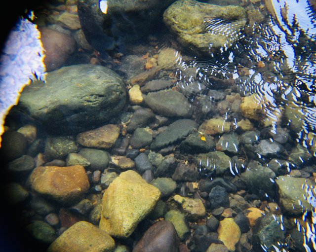 IMG_4120.jpeg