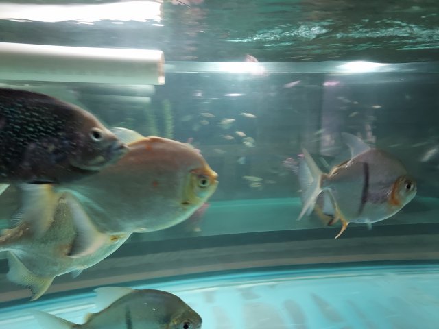20230623_145139.jpg
