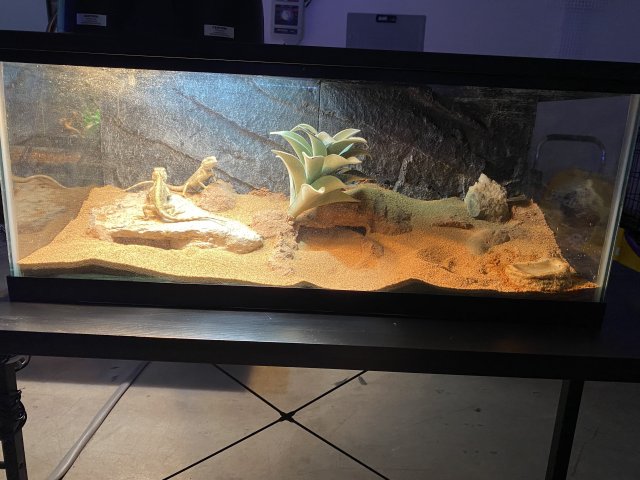 IMG_1771.jpeg IMG_1771.jpeg