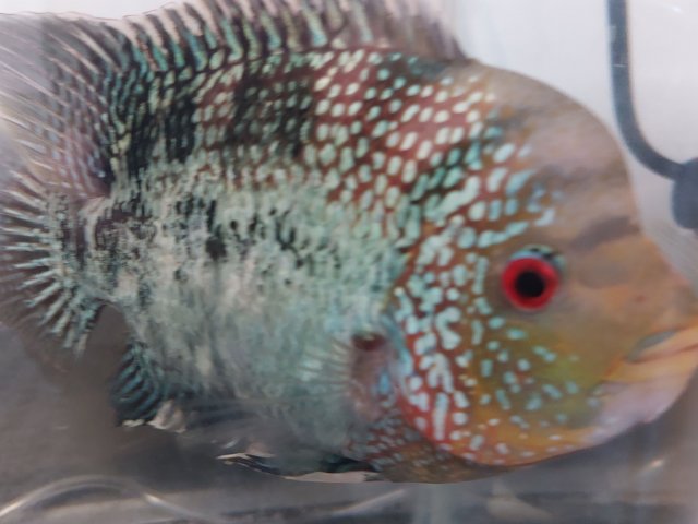 20230621_165804-min.jpg