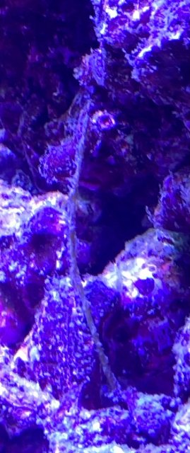IMG_1854.jpeg