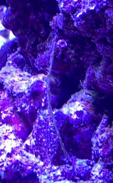 IMG_1855.jpeg