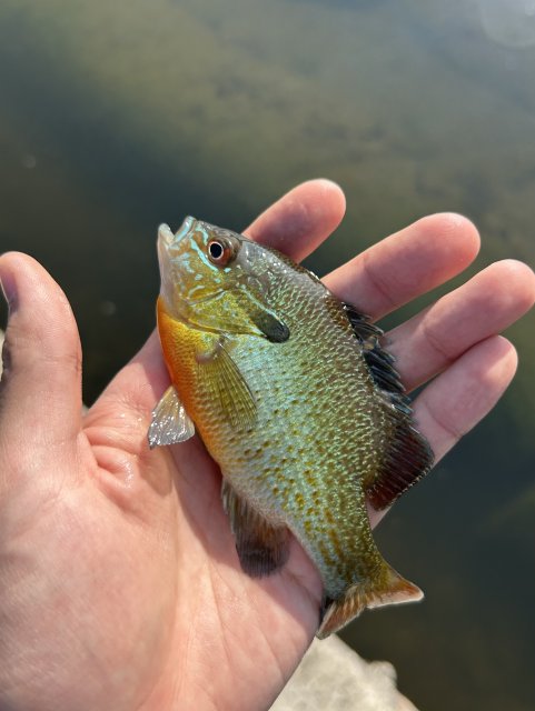 IMG_1607.jpeg
