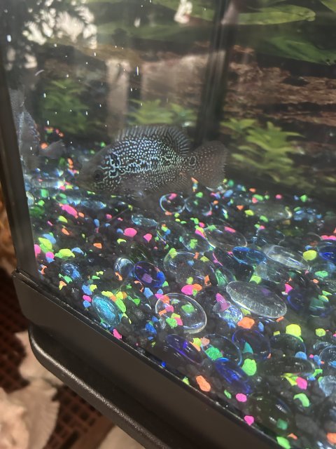 IMG_2826.jpeg IMG_2826.jpeg