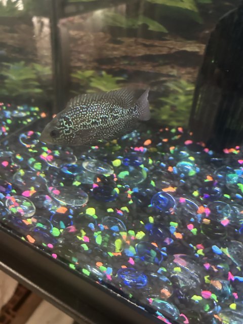 IMG_2825.jpeg IMG_2825.jpeg