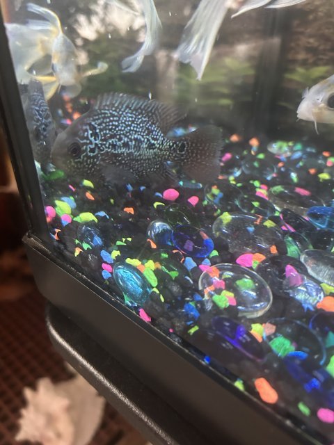 IMG_2824.jpeg IMG_2824.jpeg