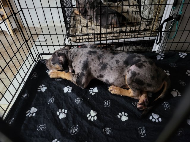 20230702_181024.jpg 20230702_181024.jpg