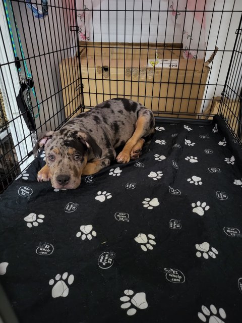 20230702_180934.jpg 20230702_180934.jpg