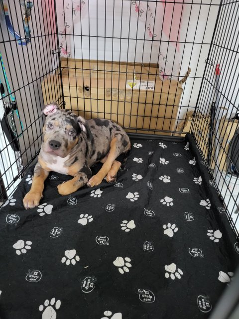 20230702_180924.jpg 20230702_180924.jpg