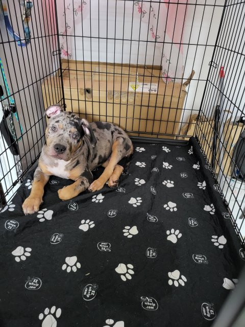 20230702_180923.jpg 20230702_180923.jpg