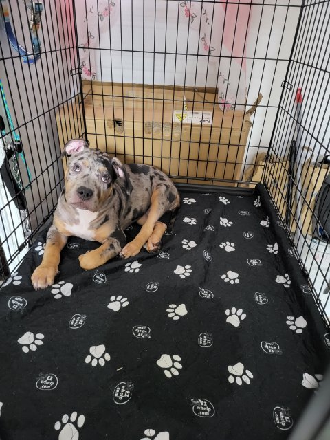 20230702_180922.jpg 20230702_180922.jpg