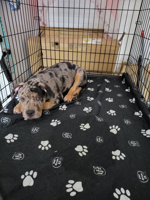 20230702_180931.jpg 20230702_180931.jpg